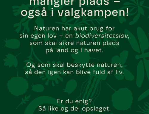 21 grønne organisationer kræver natur- og biodiversitetslov