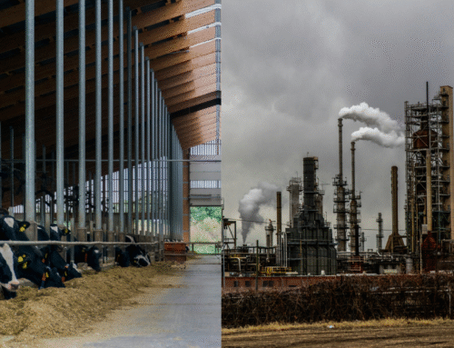 Metan-reduktioner: Vores redningskrans til at begrænse de globale temperaturstigninger?