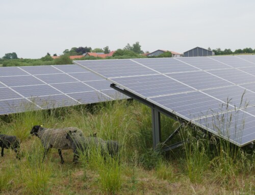 Slaget om solcelleparkerne – webinar med fokus på årsager og løsninger