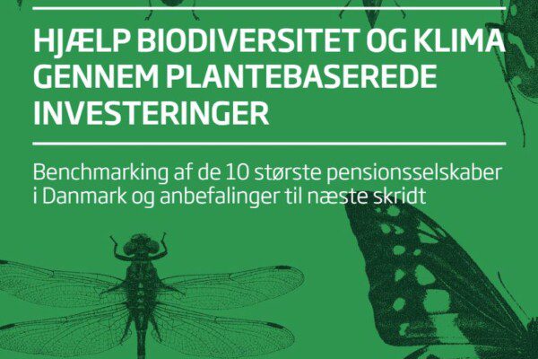 Grønne NGO’er: Danske pensionsselskaber bør droppe nye investeringer i intensiv animalsk fødevareproduktion