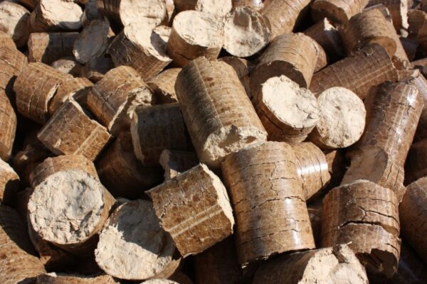 Politikerne skal bremse biomasse-ræset nu