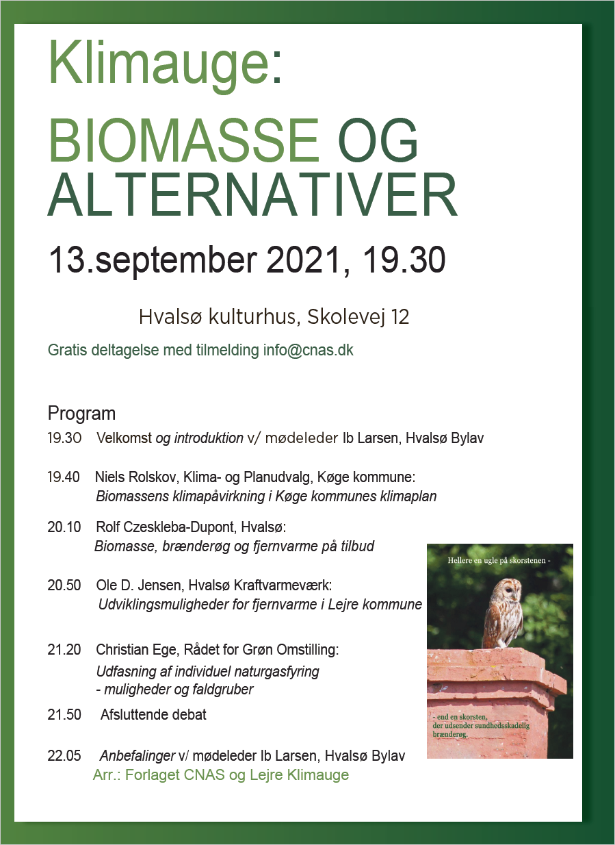 Klimauge: Biomasse og alternativer