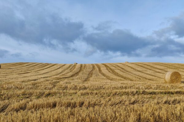 EU’s landbrugsstøtte – Common Agricultural Policy