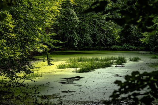 EU’s industrilobby tager ansvar for ambitiøs miljø- og klimahandling… om 10-12 år