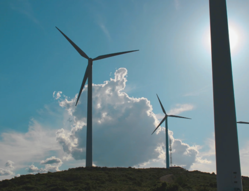 2030-målet er i risiko: Klimarådets status kræver konkret handling og opgør med for positive forudsætninger