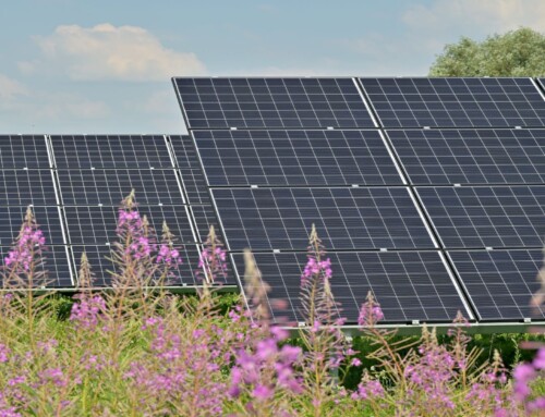 VE-alliancen: Danmark er bundskraber på elektrificering, selvom det er en forudsætning for grøn omstilling
