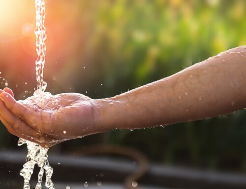 Luk hanen i tide: Kommunerne skal tage ansvar for kemikalieforurening af drikkevandet