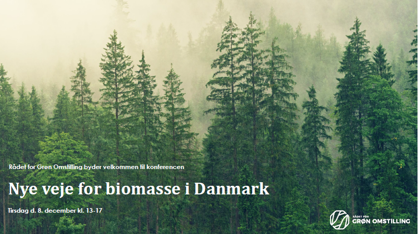 Oplæg til konferencen “Nye veje for biomasse i Danmark”
