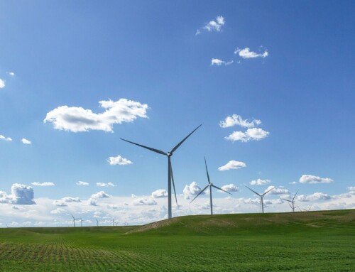 Hvem er det, der fører umoden klimapolitik?