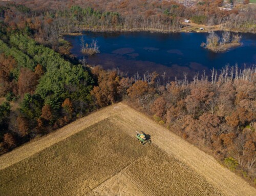 Klimaafgift for landbruget er et vigtigt gennembrud, men Danmark skal meget længere