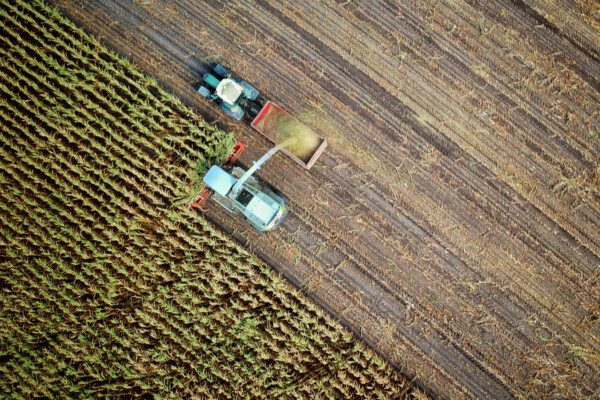 Rådet for Grøn Omstilling: Roundup skal rulles tilbage – sammen med hele brugen af pesticider