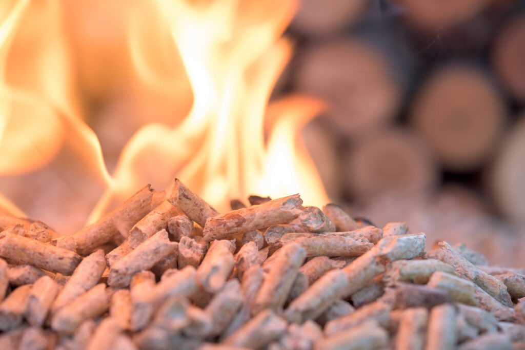 DI mistolker vores holdning til biomasseafbrænding