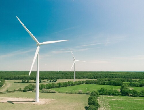 Ny grøn alliance: Kommuner skal belønnes for at bane vejen for vedvarende energi