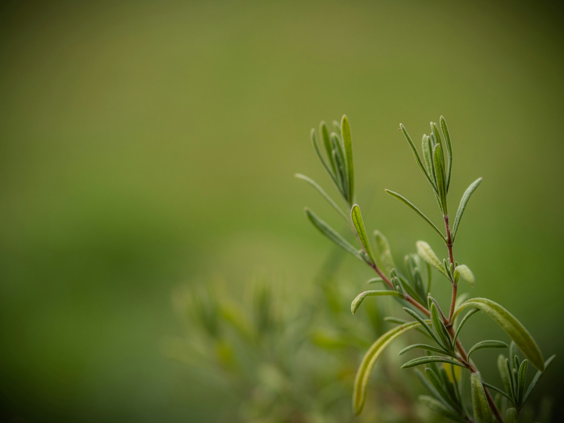 thumbnail_marek-levak-6MYruls_2k4-unsplash