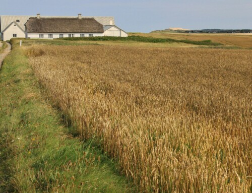 Støtte svigter både os i landbruget og naturen